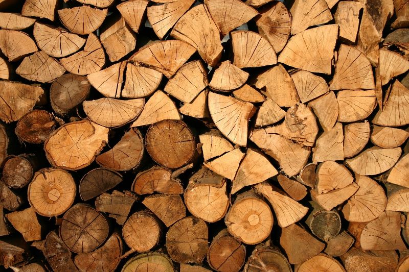 Gebäudesanierung mit Holz: Wieso immer mehr Menschen auf den Rohstoff setzen
